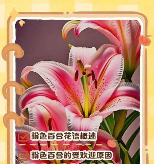 香水百合的花语含义有哪些？