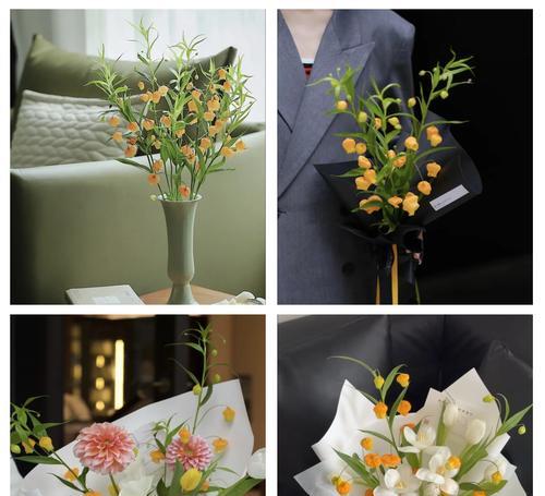 灯笼百合的寓意与花语有何不同？