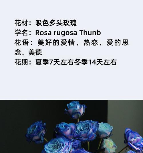 思念过去爱情的花语是什么？如何表达思念？