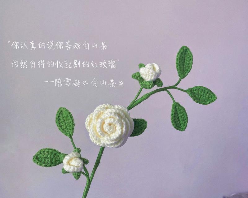 被轻视的爱花语代表什么含义？