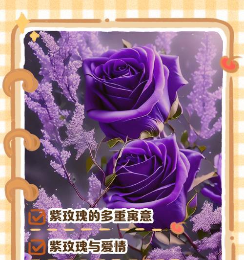 圣诞玫瑰的花语有何寓意？