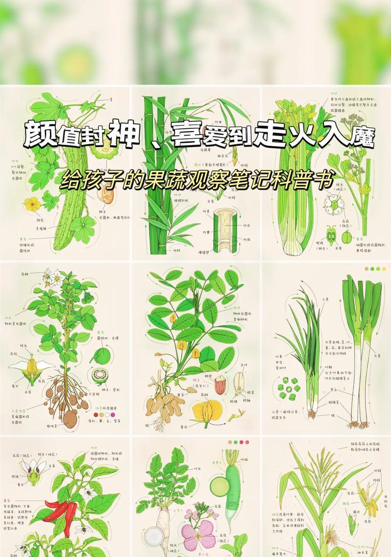 香蕉草莓的花语代表什么含义？