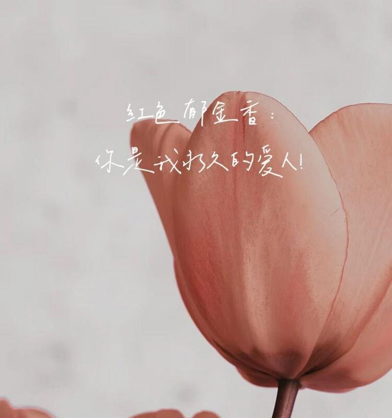 表白女生时哪种花语最合适？