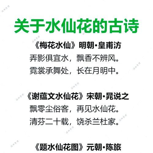 水仙花的花语含义是什么？