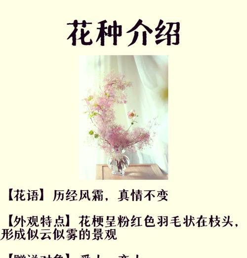 红叶黄栌的花语具体是什么？