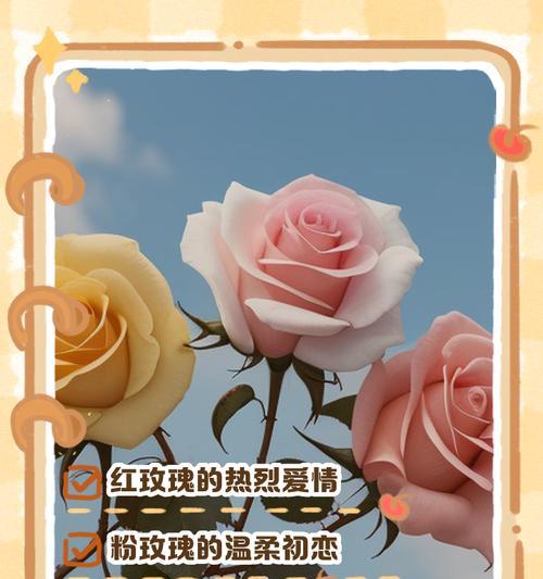 粉玫瑰花的花语是什么？如何用花语表达浪漫爱情？