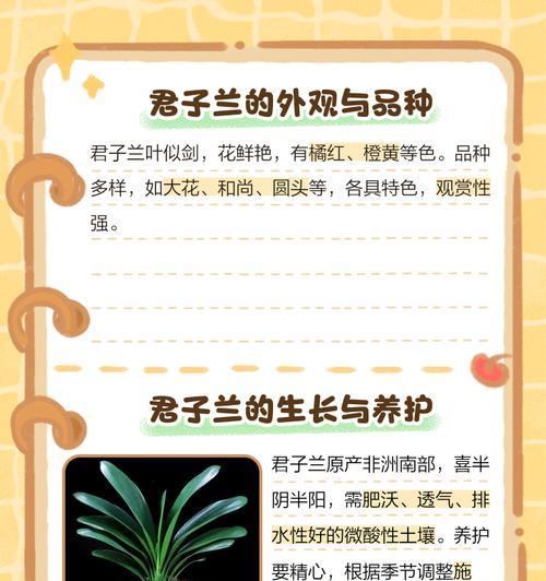 哪些花名和花语具有特别的意义？