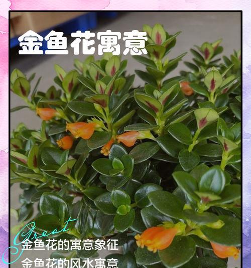 哪些花名和花语具有特别的意义？