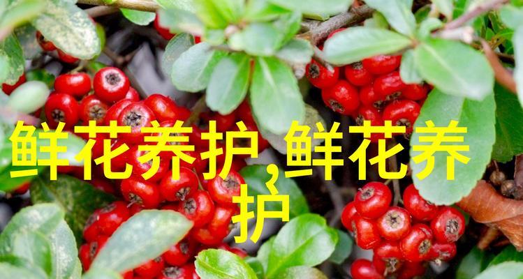 罂粟花代表了哪些花语？