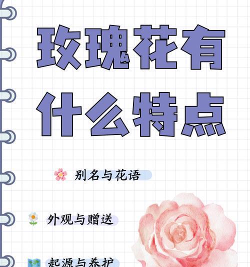 两朵玫瑰花的花语有何特殊含义？