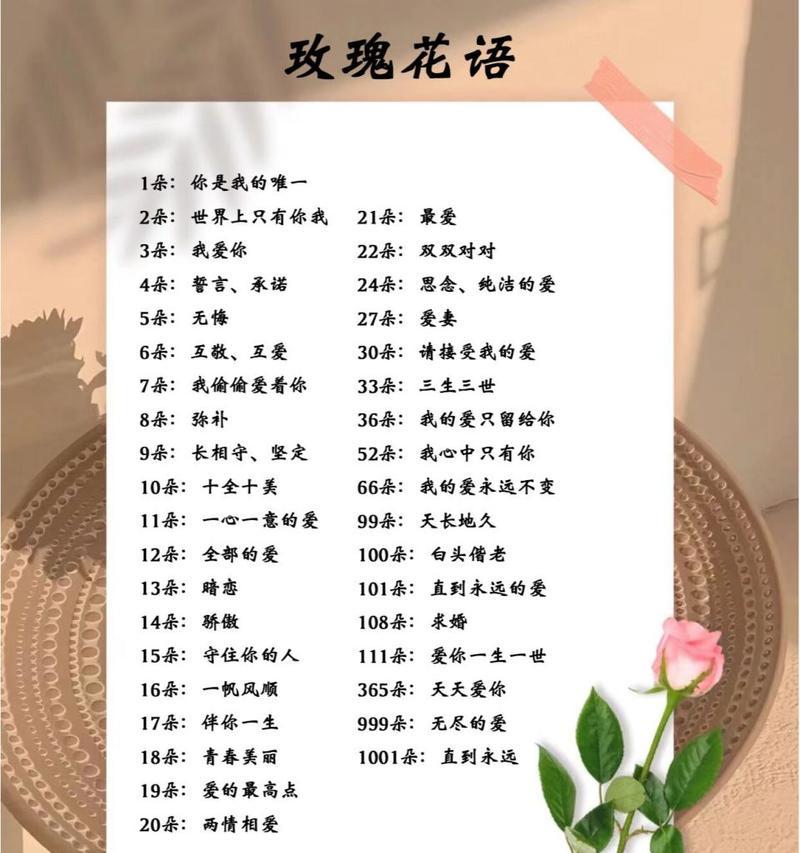 两朵玫瑰花的花语有何特殊含义？