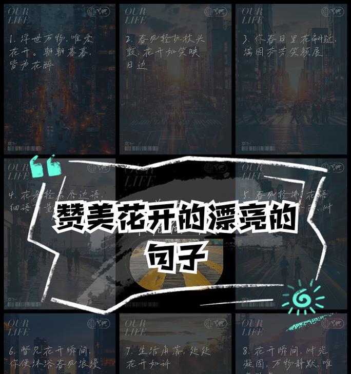 哪些花语适合用来夸赞他人？