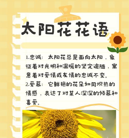 回忆的花花语有何含义？代表什么？