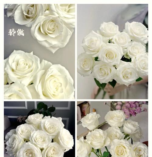 五支玫瑰各自代表什么花语？它们共同传达了什么信息？