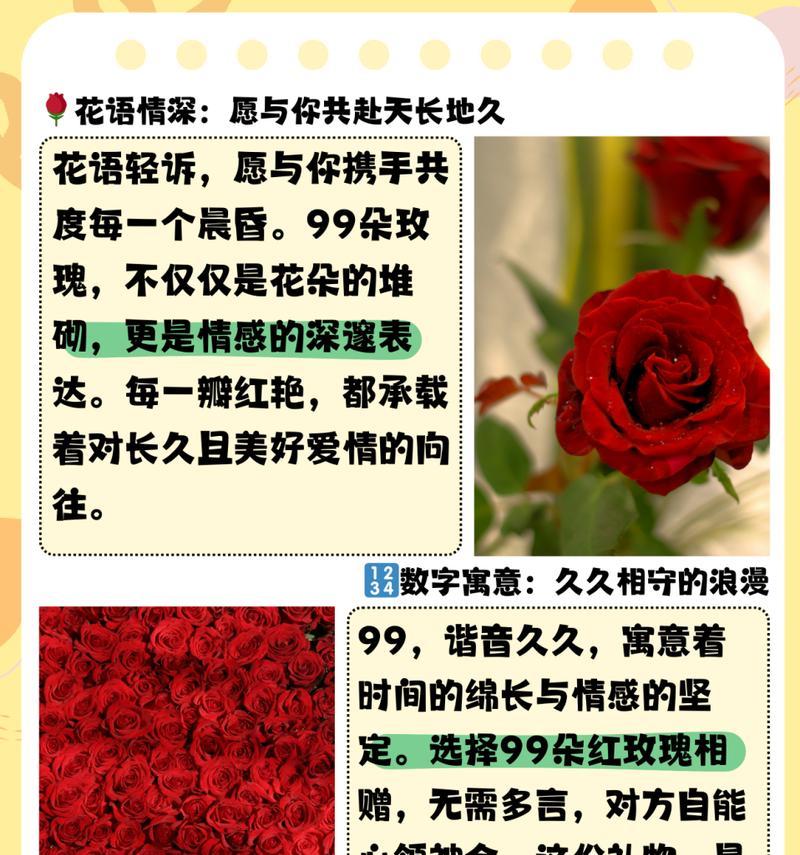奶油玫瑰花的寓意是什么？如何选择寓意美好的奶油玫瑰？