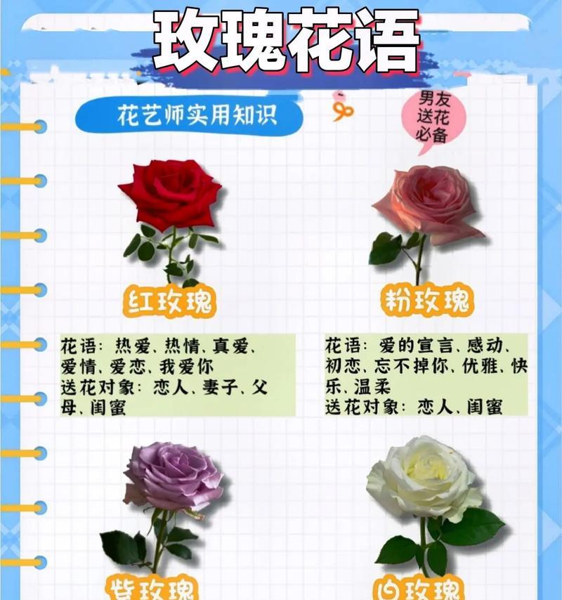 鲜花植物的花语和寓意有哪些？