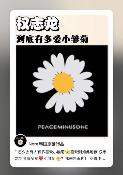 老街的小雏菊花语有何特殊含义？