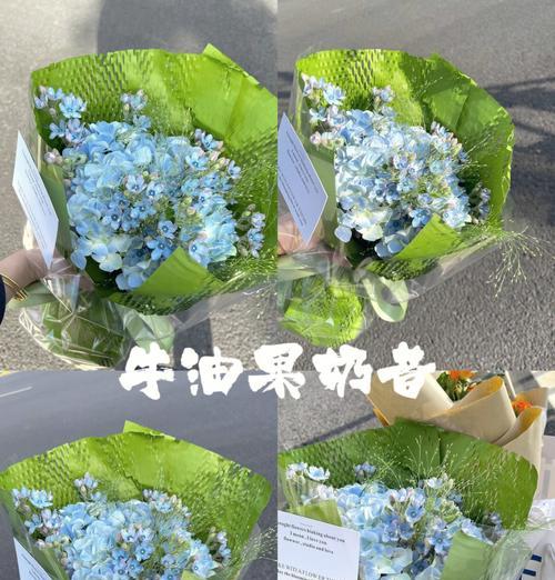 香槟牛油果花语代表什么？如何理解其深层含义？