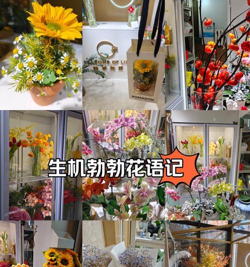 赞美邻家的花语有哪些表达方式？句子中蕴含的意义是什么？