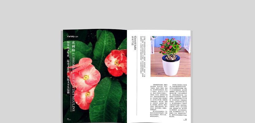 赞美邻家的花语有哪些表达方式？句子中蕴含的意义是什么？