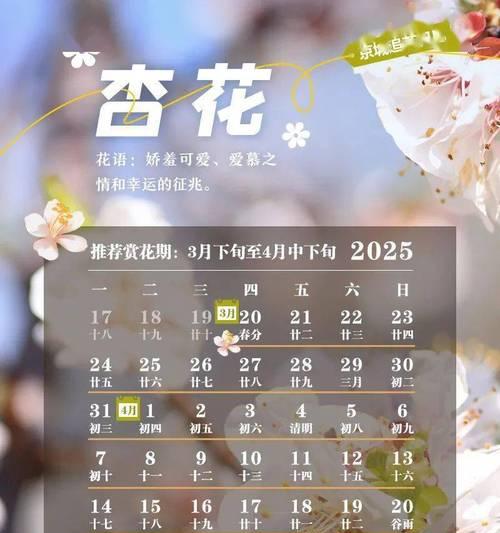 赞美京城的花语是什么意思？用什么花来表达对北京的赞美？