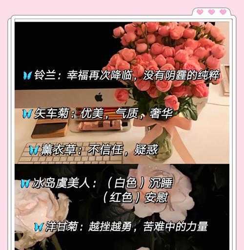 花语爱意永不凋零什么意思？哪种花代表永恒的爱？