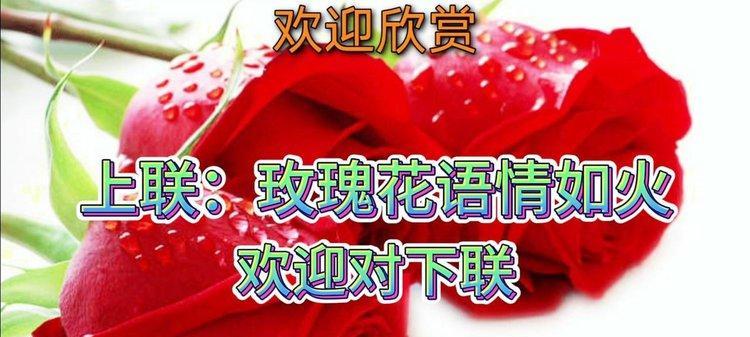 火的花语梗有哪些？