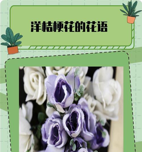 送男朋友花时应了解哪些花语？
