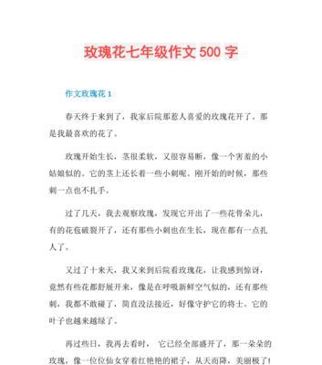 玫瑰花寓意作文300字如何撰写？