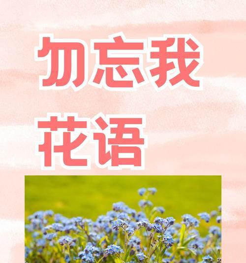 爱情中有哪些美丽的花语？美丽的花语如何表达爱情？