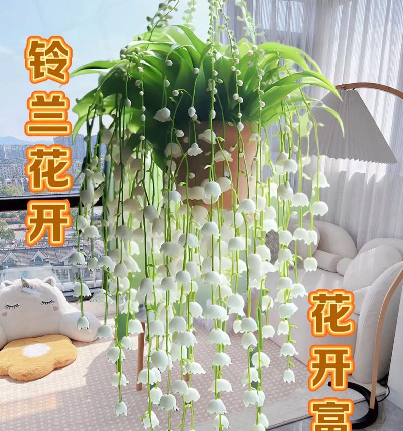 送给妹妹的花语有何深意？