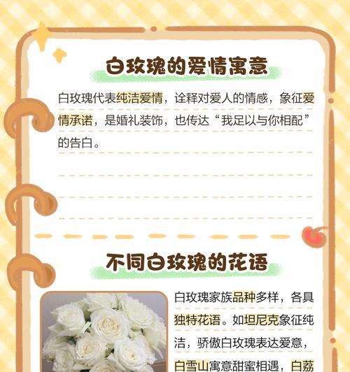 女朋友送的白玫瑰花语是什么？白玫瑰代表什么情感？