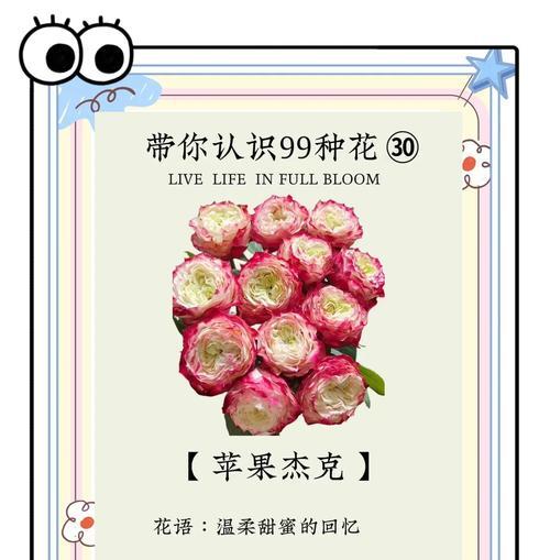 森林苹果花的花语是什么意思？它象征着什么？