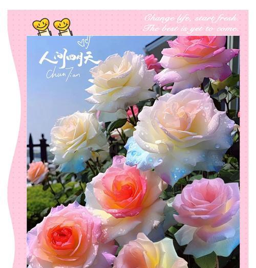 道具醉人的花语有何深意？它象征着什么？