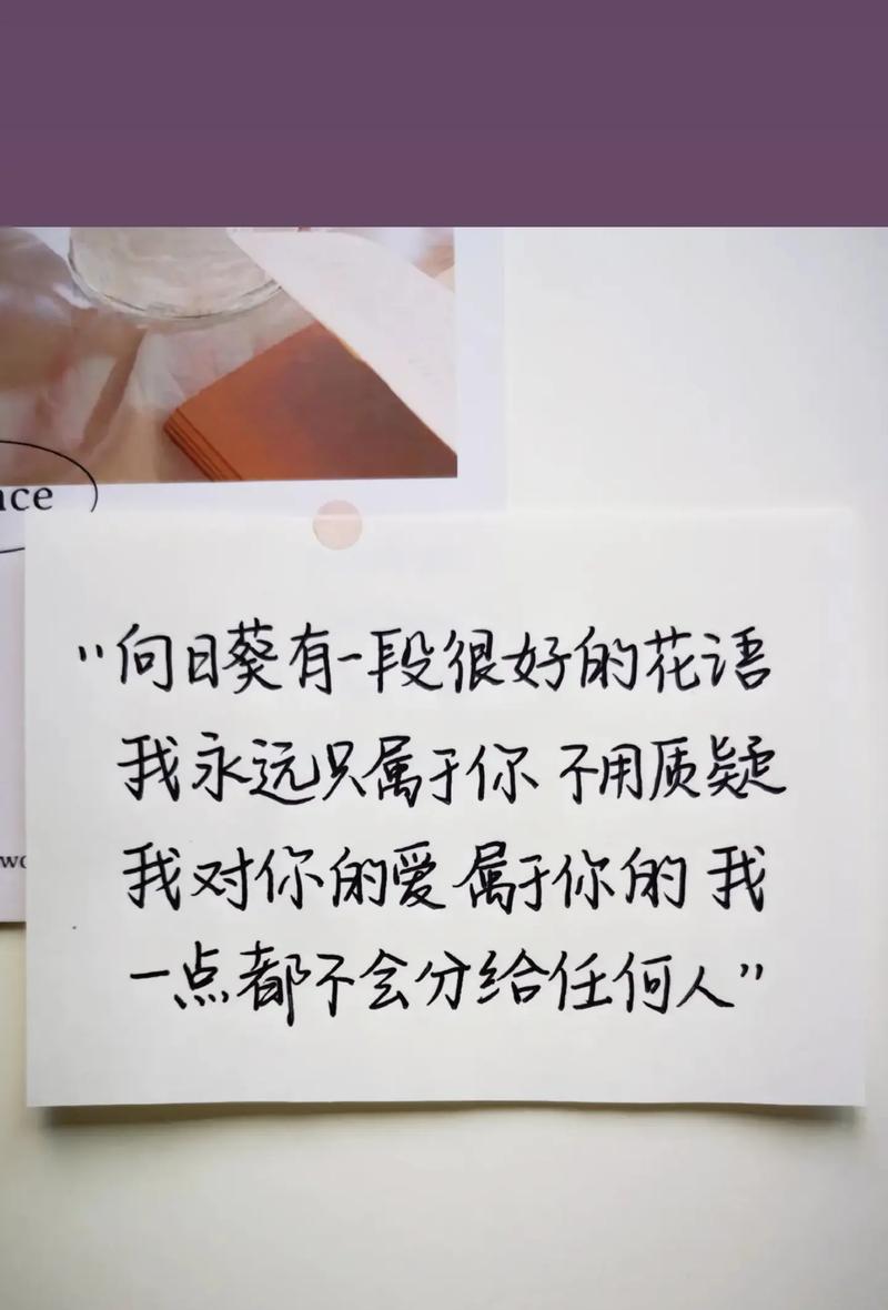 向日葵花语中“你就是我的”是什么意思？
