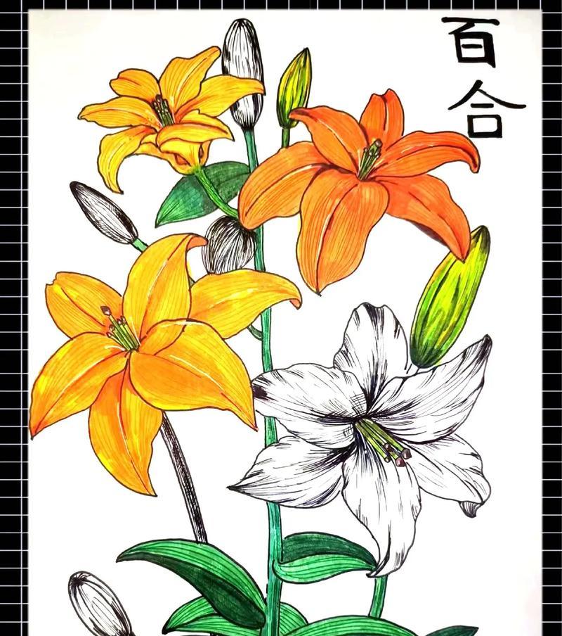 哪种花可以替代另一种花的花语？