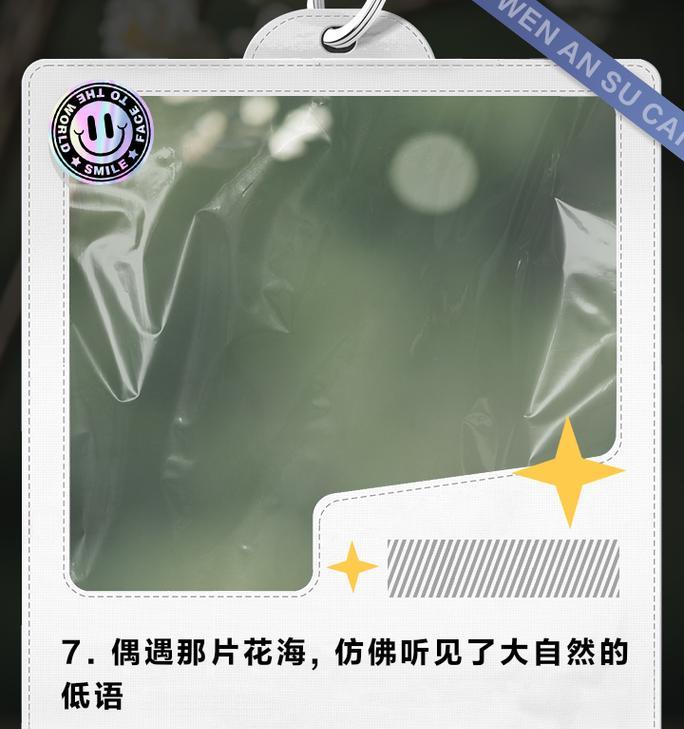 偶遇美艳交际的花语是什么？