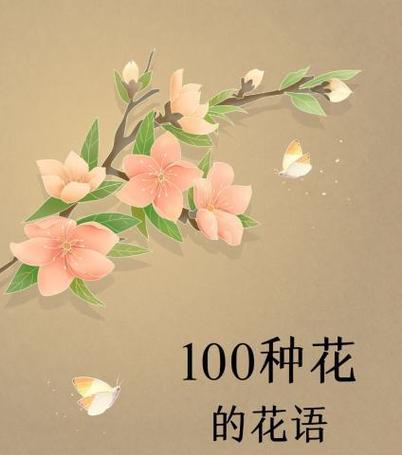 再也没有的花语是什么意思？失去之花的花语代表什么？