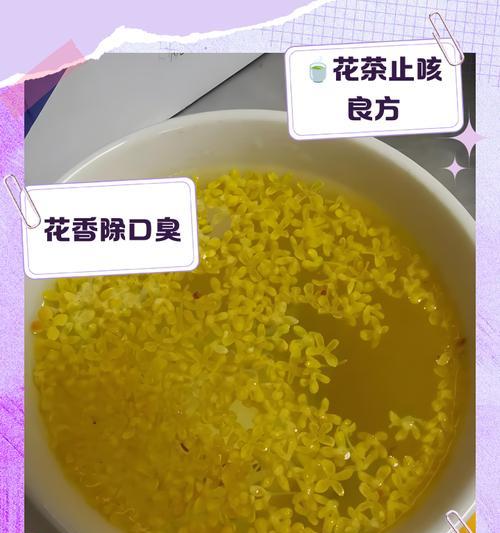 栀子桂花的花语有何特别之处？