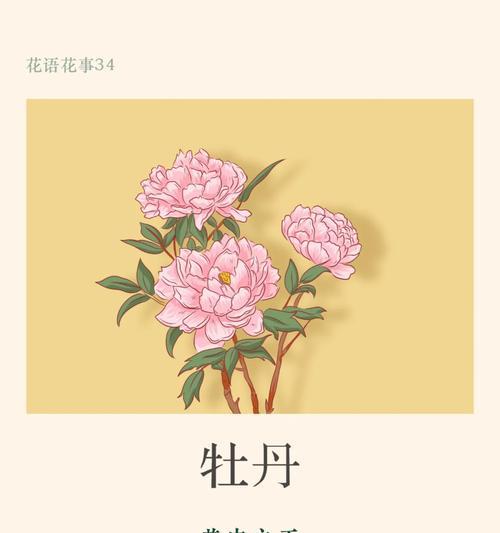 牡丹花语有哪些传统含义？