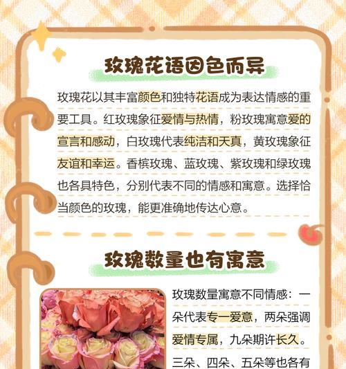 玫瑰花倾心代表什么？玫瑰花倾心的花语有何寓意？
