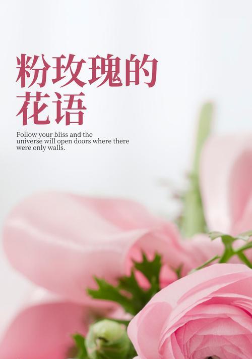 粉色玫瑰花传递的爱意是什么？