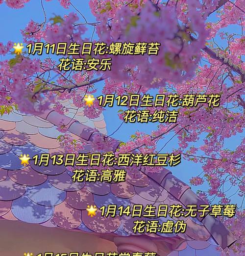 做个美美的花语代表什么？如何理解这种花语？