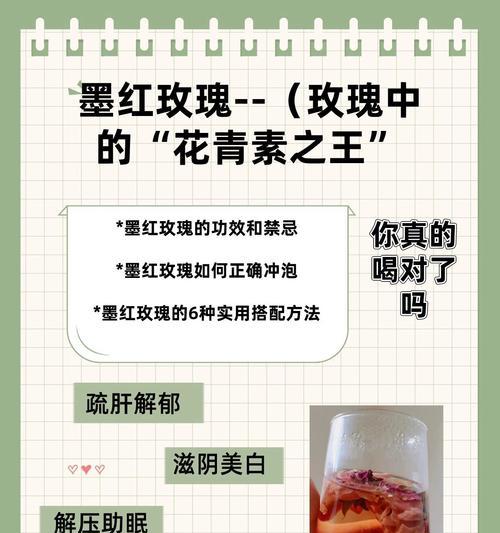 红玫瑰常出现在哪些诗句中？