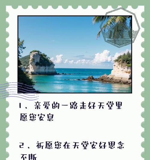 人间与天堂的花语代表什么？