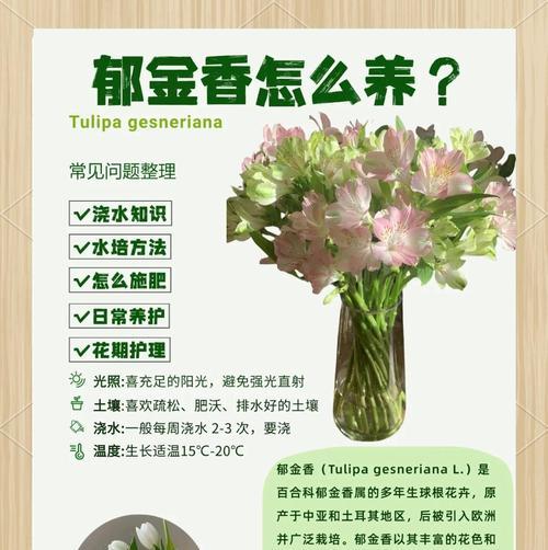 花语表情包中的郁金花代表什么？