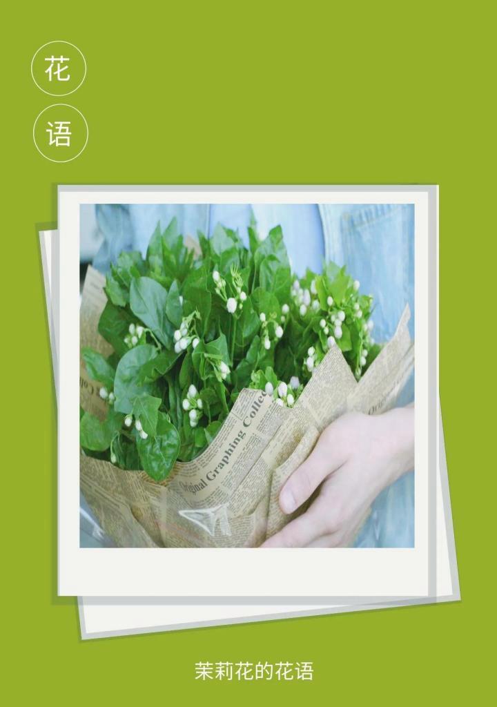 茉莉花混合花语是什么？茉莉花与其他花混合时的花语有何不同？