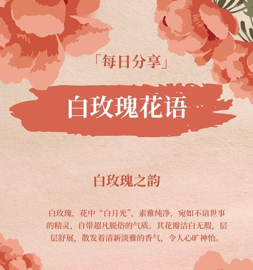 网名中白玫瑰的花语代表什么？