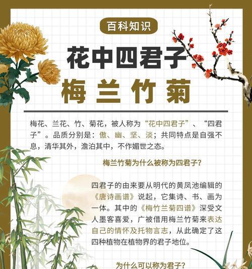 白玉兰与君子兰各自有何寓意？