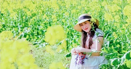 春风花语科技是做什么的？